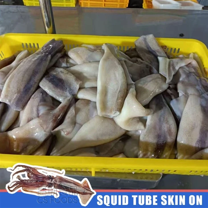BQF Frozen Squid Tube Skin On factory
