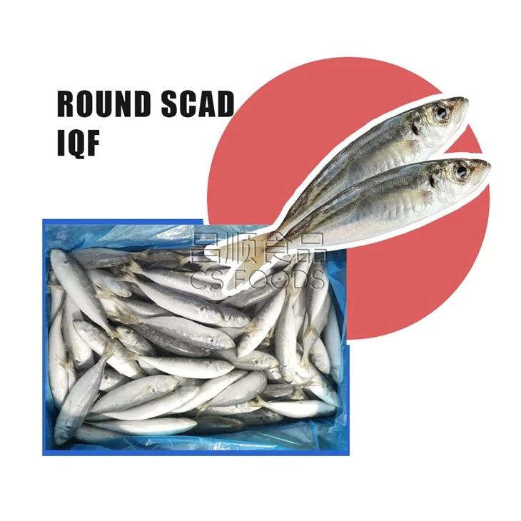 AAA IQF Round Scad