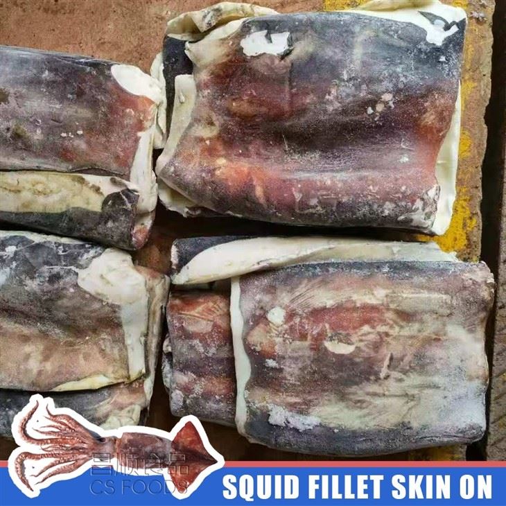 Land Frozen Giant Squid Fillet Skin On high quality