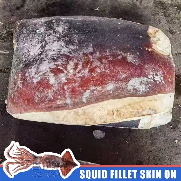 Land Frozen Giant Squid Fillet Skin On factory